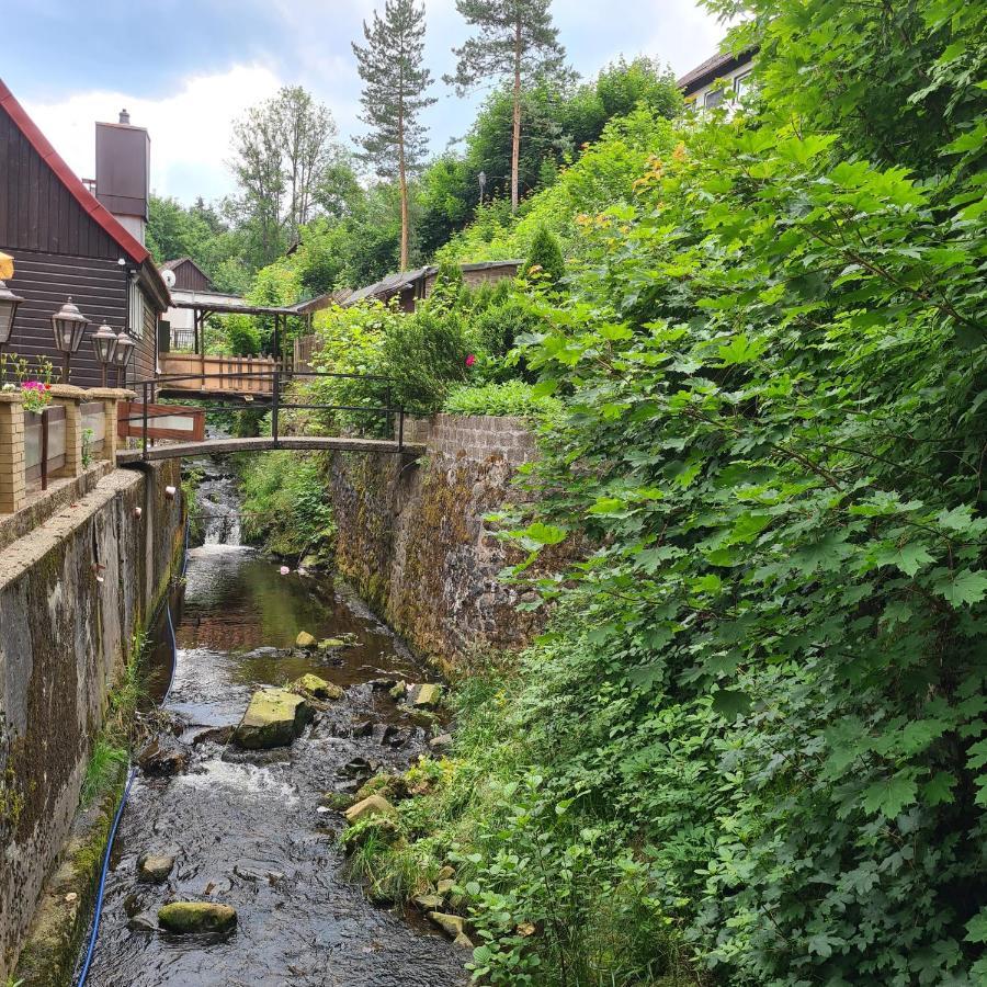 Harz Im Herzen Altenau  Extérieur photo